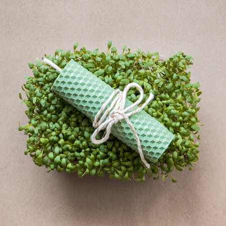 Gruba świeca słupkowa pistacjowa | Naturalna świeca z wosku pszczelego | 100% wosk pszczeli